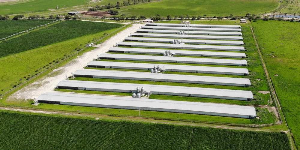 Aerial view of poultry houses